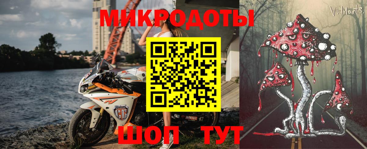 Псилоцибиновые грибы Psilocybine cubensis  Вход с VPN  Большой Камень  Галлюциногенные грибы мицелий 